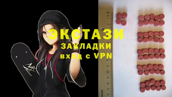 индика Армянск