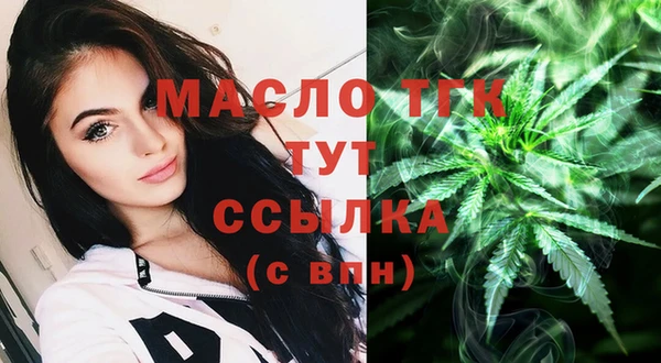 хмурый Арсеньев