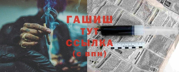 хмурый Арсеньев